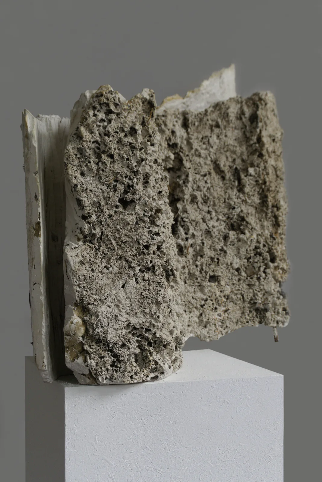 Pole